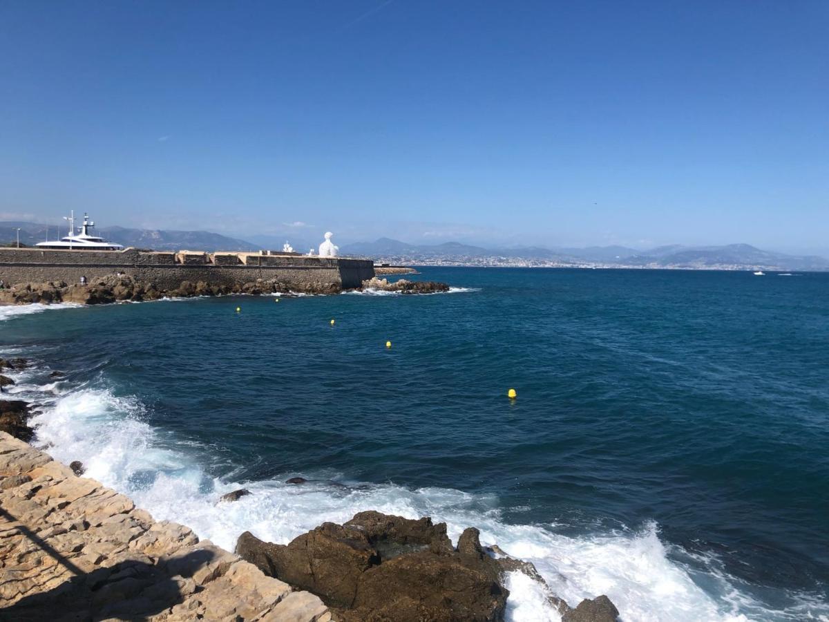 Vieil Antibes, Ravissant 2P Avec Petite Terrasseアパートメント エクステリア 写真